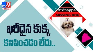 హైదరాబాద్‌ ఖరీదైన కుక్క కిడ్నాప్‌.. ఆచూకీ అందించిన వారికి రివార్డు - TV9 screenshot 5