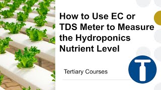 How to Use EC or TDS Meter to Measure the Hydroponics Nutrient Level