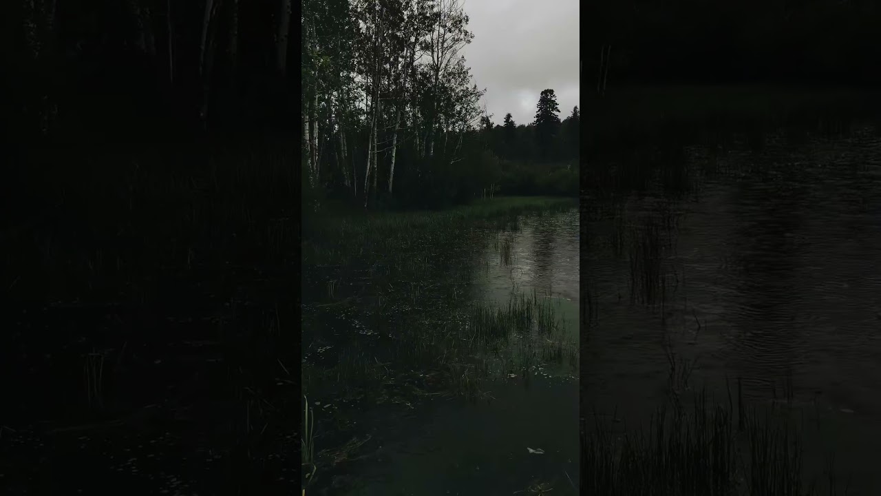 Retro EDM Vibes: A 90s Rave Experience! 