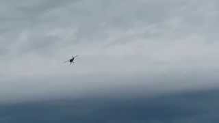 Bill Hempel 40% Clipped Wing Cub