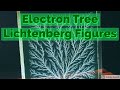 Making Electron Trees (Lichtenberg Figures) with a Linear Accelerator