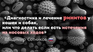 Риниты у кошек и собак. Диагностика и лечение(Лекцию читает Владимир Сотников — главный ветеринарный врач, Ветеринарной клиники неврологии, травматоло..., 2015-11-10T09:30:01.000Z)