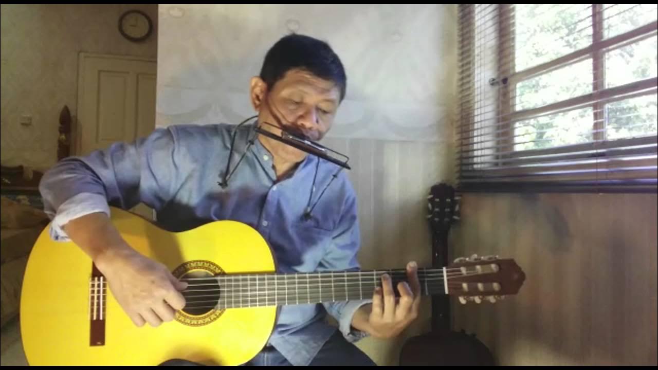 Harmonica John Denver Annie's Song (Fingerstyle Cover) YouTube