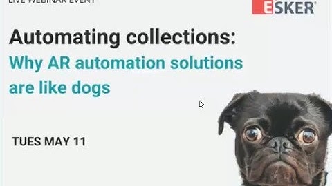 Automating collections - Why AR automation solutions are like dogs