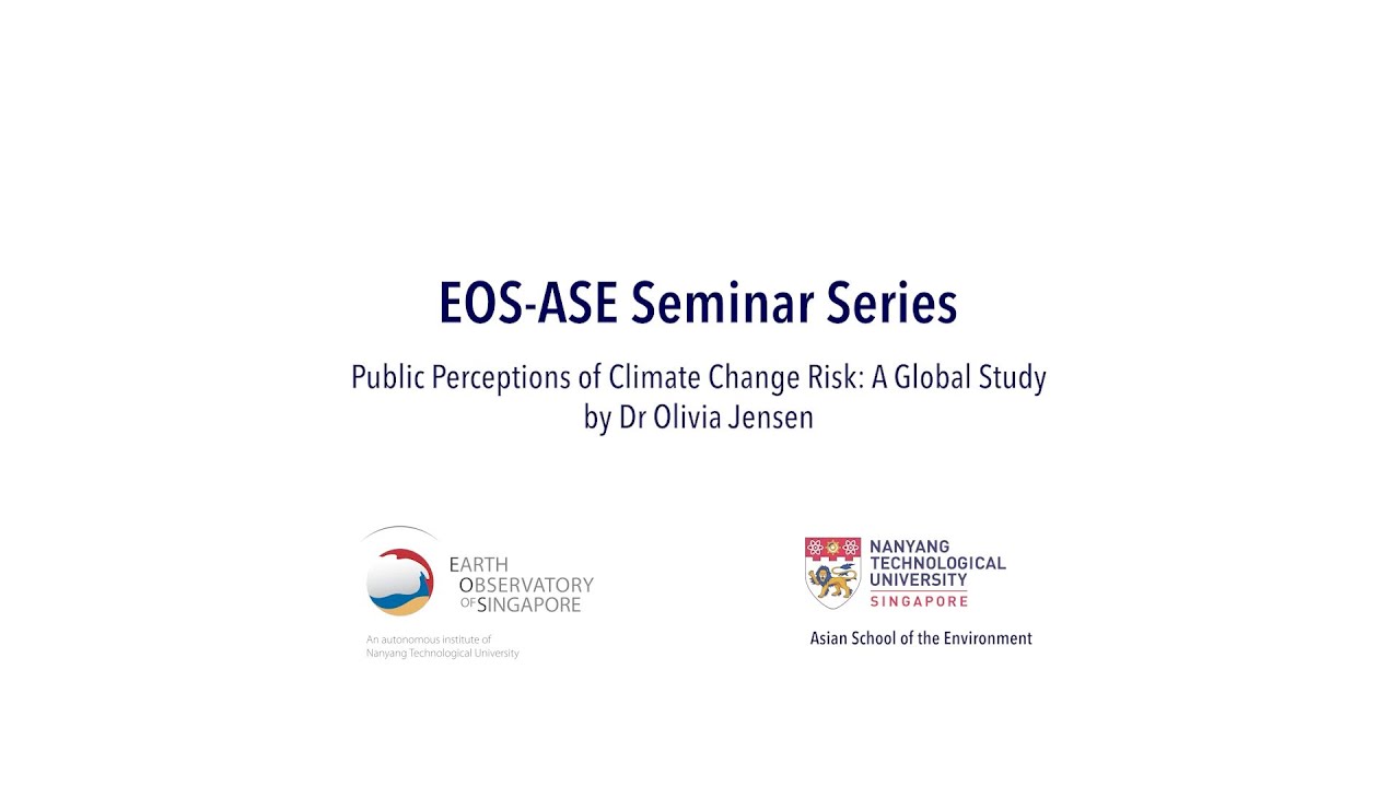 Public Perceptions of Climate Change Risk: A Global Study