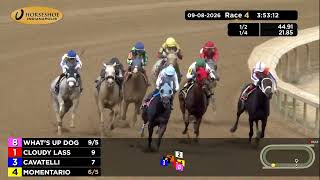 Vidéo de la course PMU CLAIMING