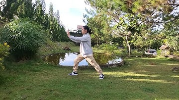 Hướng dẫn tập bài Thái Cực Quyền 24 - Thức 8 (Hữu Lãm Tước Vĩ)