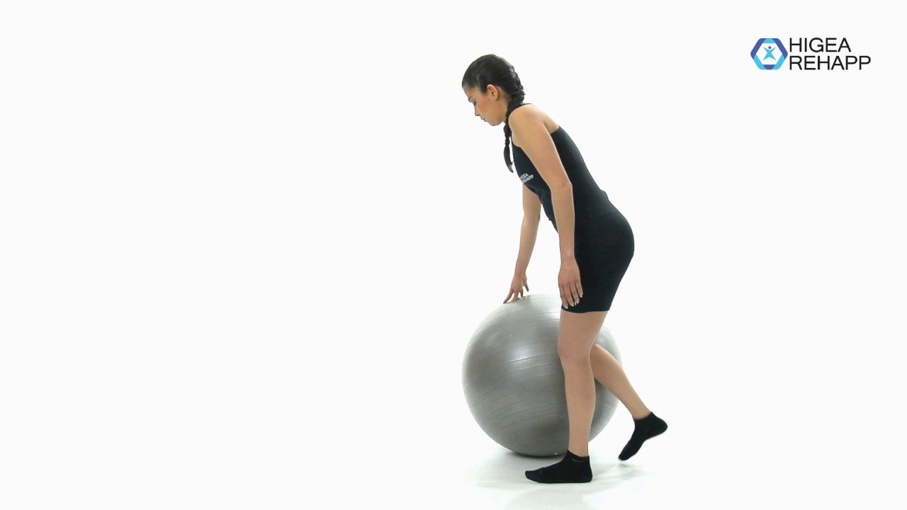 physiotherapy exercises Descarga de peso de MMII sobre fit ball en diferente planos
