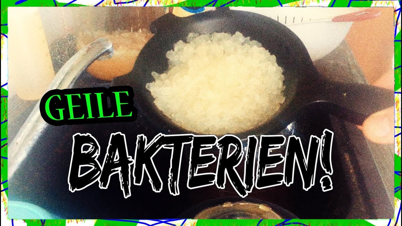 Wasserkefir selber machen ist VIEL einfacher als alle sagen!!!