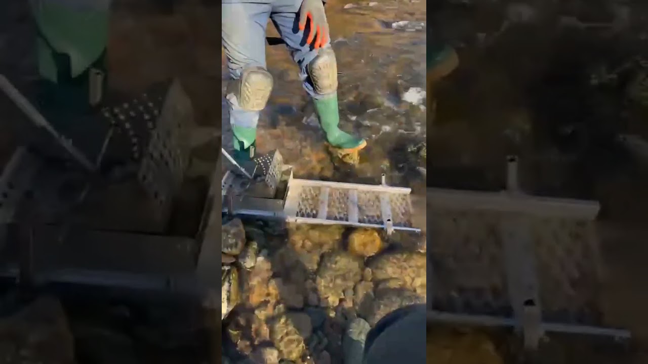 Predatori di oro nei fiumi italiani con sluiceboxitalia🇮🇹 e le canaline perfette