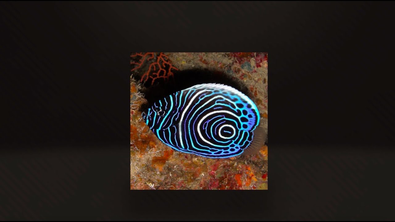 Flaschenposting August 2018