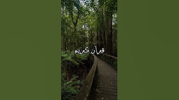 سورة سجدة /عبد رحمن مسعد /تلاوة هادئة #اكسبلور #لايك #ارحقلبك #القرآن_الكريم #ارحسمعك