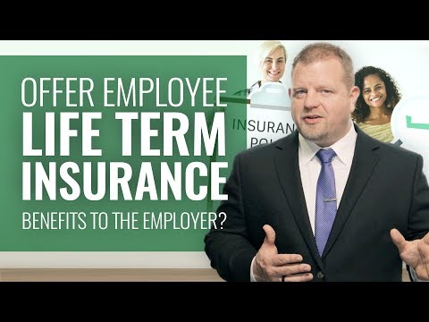 offering-employee-term-life-insurance-(tax-benefits-to-the-employer?)