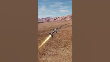 F-14 Tomcat - One shoot F5 down | DCS World