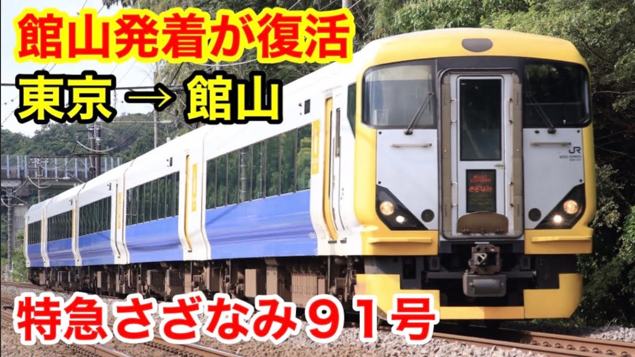 【館山発着が復活】特急さざなみ91号に乗った！東京→館山