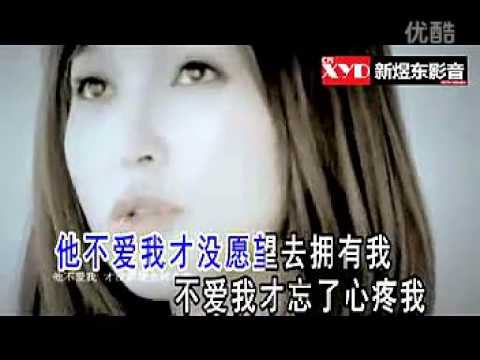 金莎 - 他不愛我 [KTV]