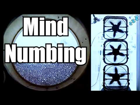 Ultimate Sleep Sanctuary = Powerful Triple Fan Sounds & Shower for Instant Sleep
