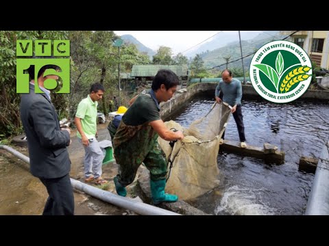 Video: Sự ngang bằng trong quan hệ tài chính của các quốc gia là gì