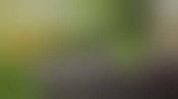 Dynavap Quick Start User Guide