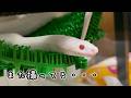 ただ動いてるだけなのに目が離せない白蛇【コハクさん】