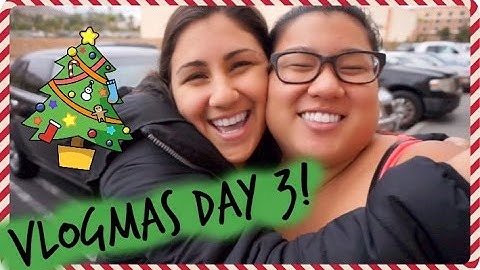 TRADER JOES HAUL & BEST FRIENDS FOREVER! Vlogmas Day 3