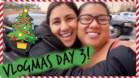 TRADER JOES HAUL & BEST FRIENDS FOREVER! Vlogmas Day 3