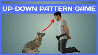 The UP DOWN Pattern Game for Dogs