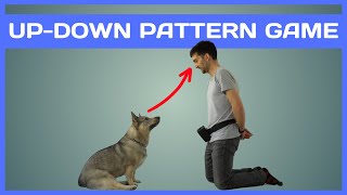 The UP DOWN Dog Training Pattern Game by Train Me Please 2,252 views 2 months ago 3 minutes, 55 seconds