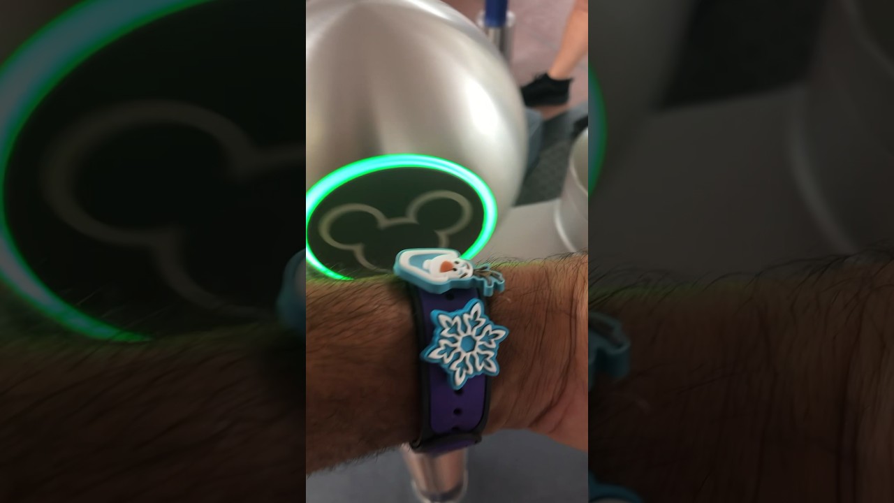 😲 Entering into Disney! 