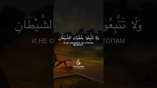 Сура: Аль-Бакара {Аят-208}Чтец: Ислам Субхи.      #Коран #ислам #quran