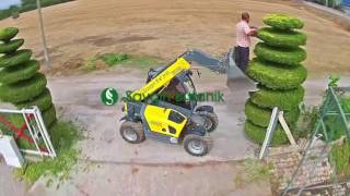 Li̇moni̇ Servi̇ Budama Resimi