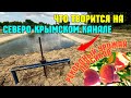 Что творится на СЕВЕРО-КРЫМСКОМ канале.Я поражён СКОЛЬКО воды.Очень много РЫБЫ.Рекордный урожай