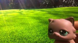 Mep For Lps Cloudiiskies Backyard Boy Lps Mep