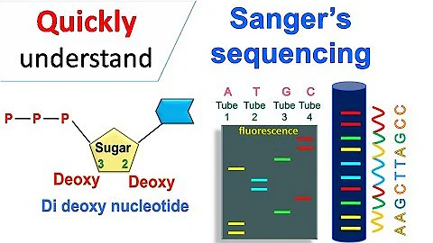 Sanger sequencing - DayDayNews