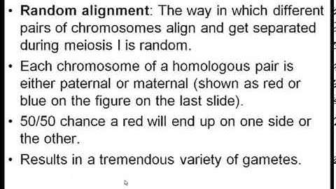 Chapter 6, Part VI (Genetic variation)