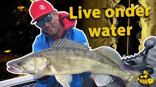 Down Scan, Side Scan En Active Target Met Arends Ogen - De Set Up Van The Eagle