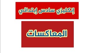 إنكليزي سادس إبتدائي |المعاكسات لليونت (الأول والثاني والثالث ) screenshot 3