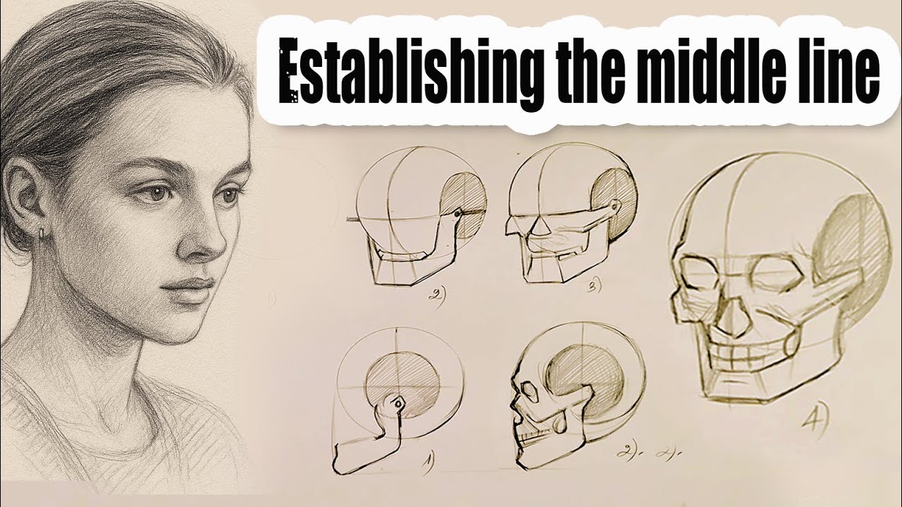 Establishing the Middle Line & Jaw Structure | Loomis Method Explained ...