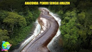 The Origin of the Amazon River!! The Traces of a Giant Snake's Path Turned the River into a River...