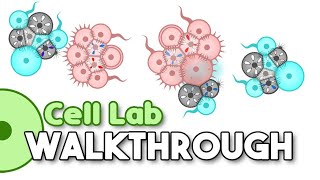 Cell Lab - How to make a Dumb SpeedBooster [Brainless method walkthrough]