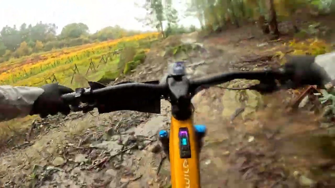 2° Trilho da União Felgueiras. / @ppskills89 