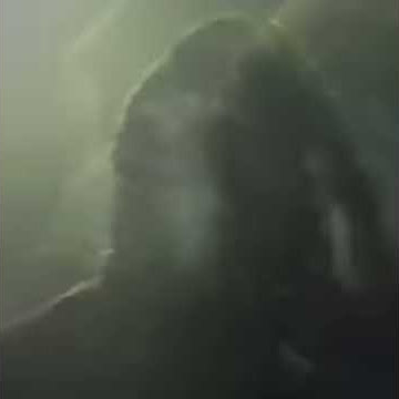 Lo vas a olvidar Billie Eilish feat Rosalia