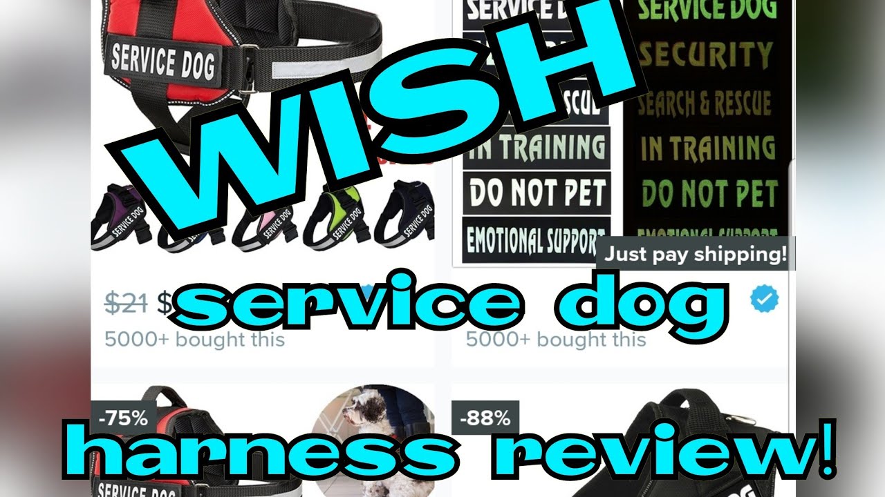 Wish app Service Dog Harness try-on and review.