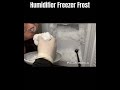 Mouthwatering Humidifier Freezer Frost