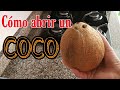 CÓMO ABRIR UN COCO EN CASA - ES MUY FÁCIL // how to open a coconut at home - it's very easy