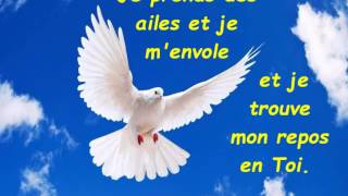 Video thumbnail of "Je prends des ailes"