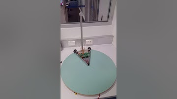 Microchip Inverted Pendulum PID Compensator