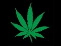 OLD SCHOOL WEST COAST HIP HOP 420 SMOKER'S MIX