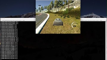 Autonomous Driving - Steering Simulation 1