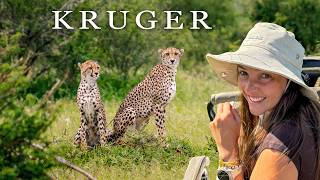First Time In Kruger National Park! (Honest Opinions)